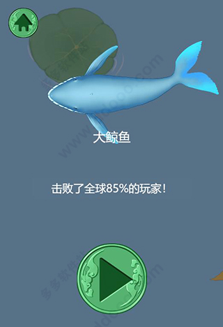 召唤神龙新手攻略图片4