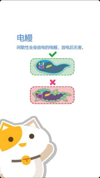 天天飞喵游戏攻略图片1